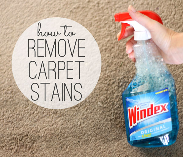 9 Hacks To Get Rid Of Stubborn Stains The Easy Way ...