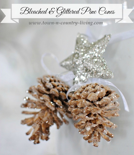 Bleached and Glitter Pine Cones