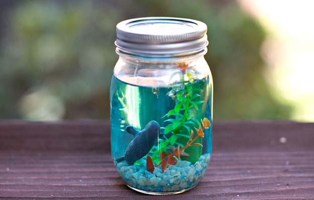 Aquarium Mason Jar Gift Idea