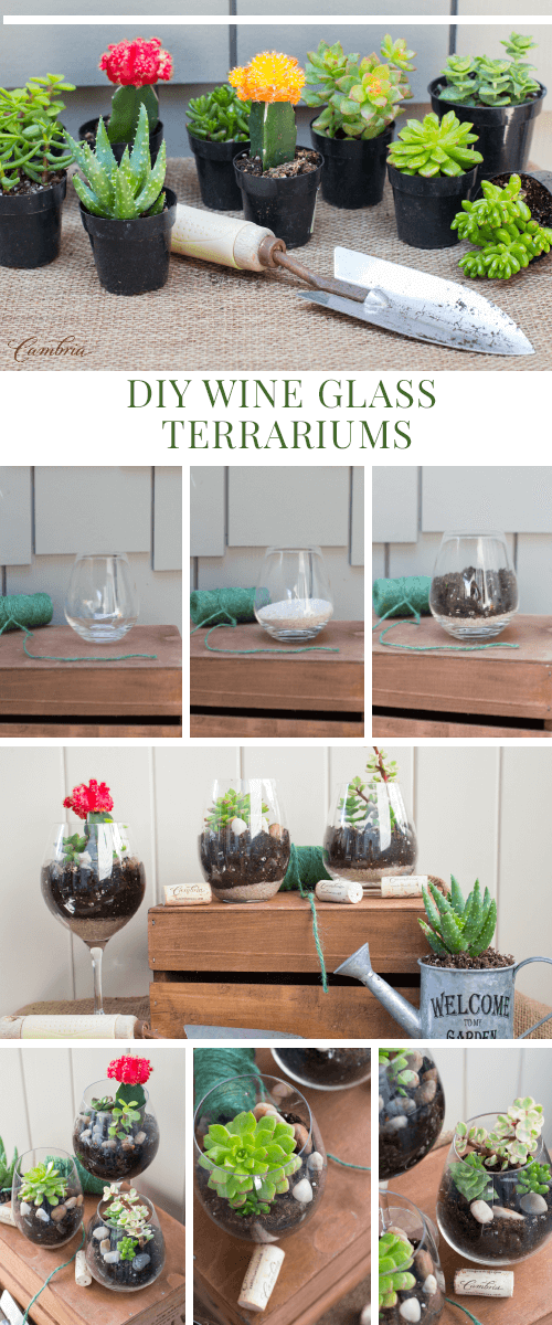 Wine Glass Terrariums