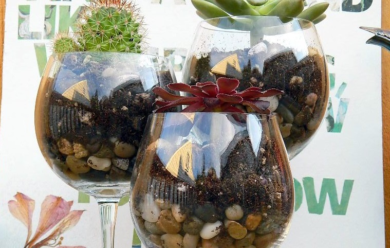 Wine Glass Mini Terrariums