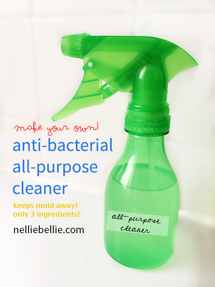 Homemade Anti-Bacterial Cleaner