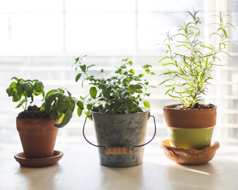 16 DIY Herb Garden Ideas You’ll Obsess Over