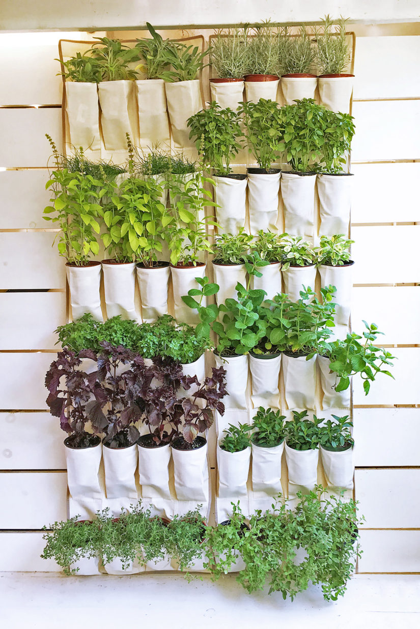 16 Best DIY Herb Garden Ideas You'll Obsess Over