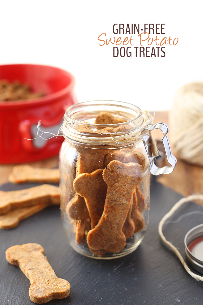 15 Best Homemade Dog Treats Recipes