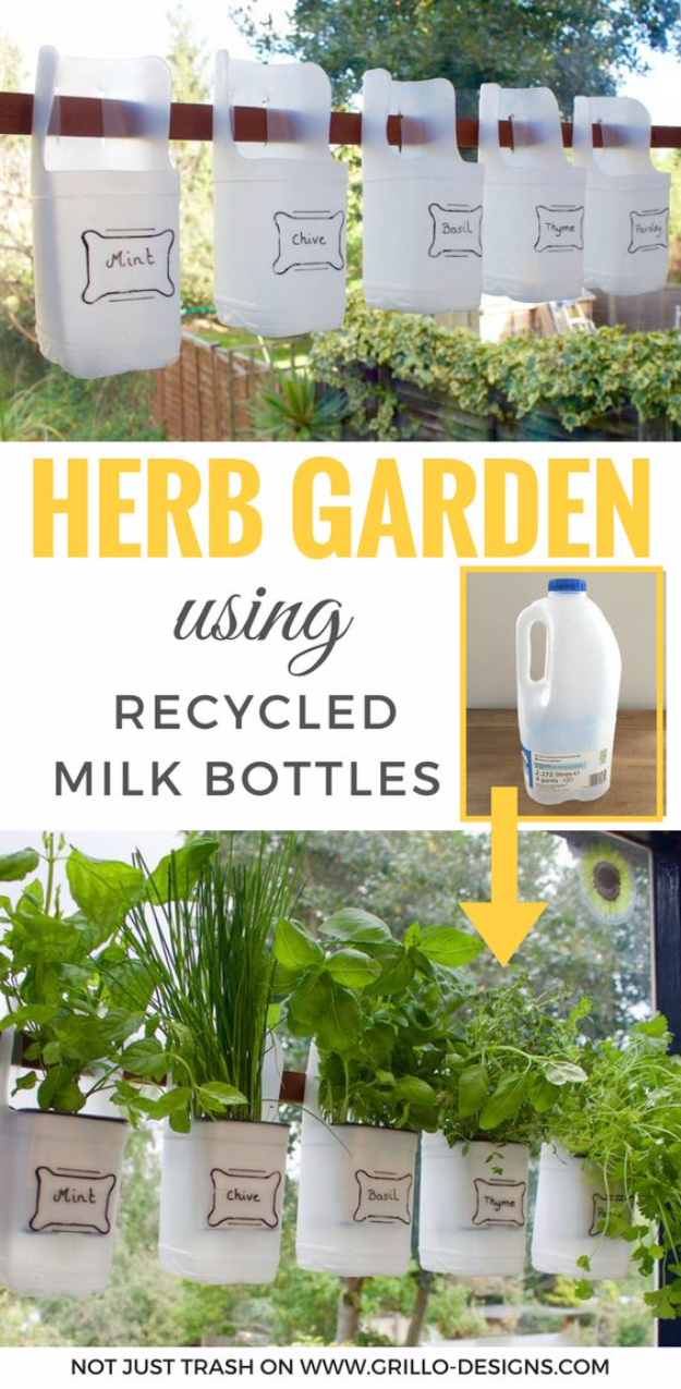 Indoor Bottle Herb Garden