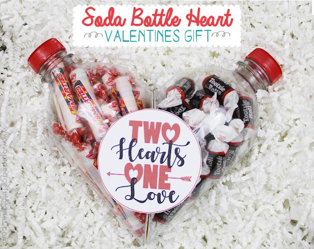 Plastic Bottle Heart Gift