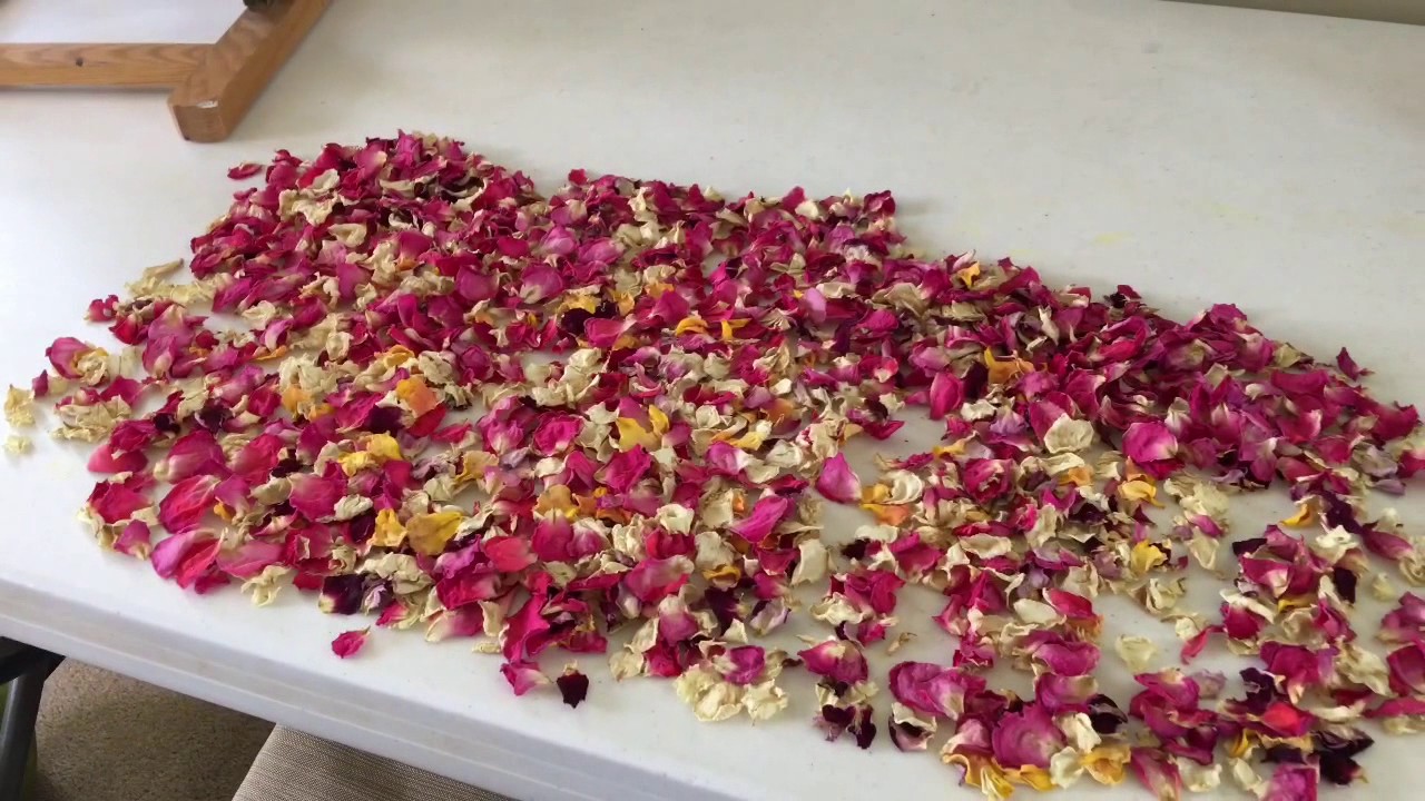 DIY Potpourri With Rose Petals
