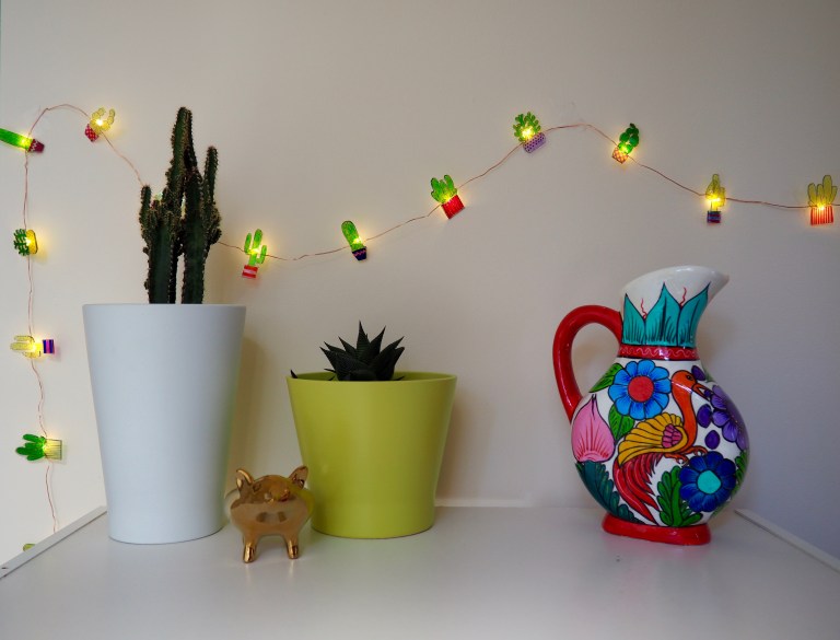 DIY Cactus Lights