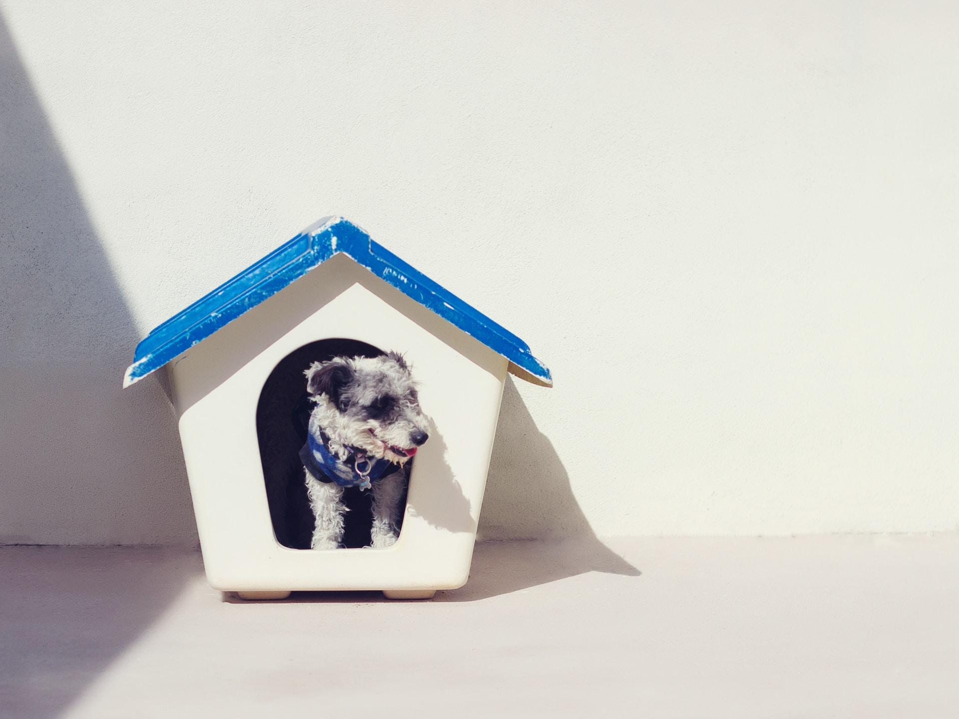 DIY Dog Houses