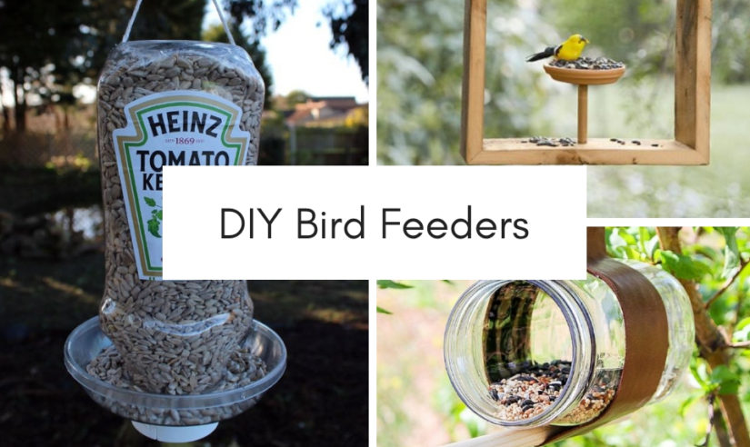 15 Easy Plans For Your Diy Bird Feeders - Craftsonfire