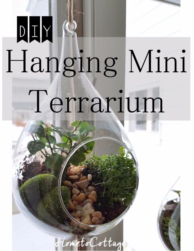 Hanging Mini Terrarium
