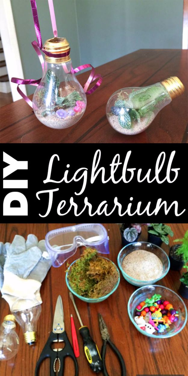 Lightbulb Terrarium