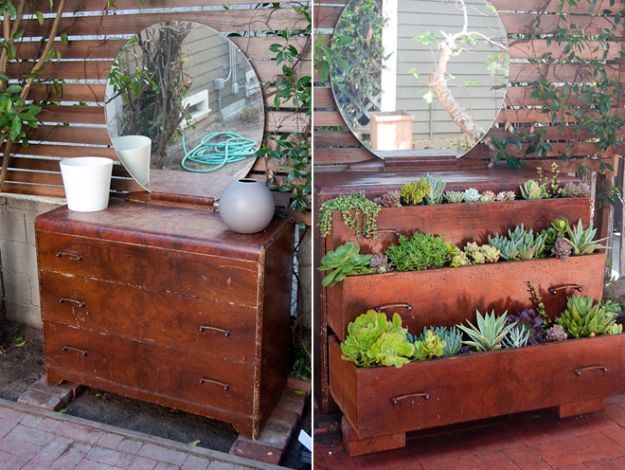 DIY Succulent Dresser