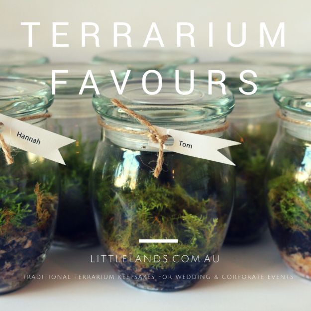 14 DIY Terrarium Ideas You Can Make Today