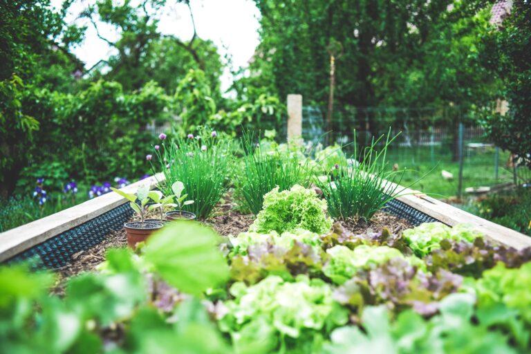 15 DIY Garden Beds To Absolutely Die For