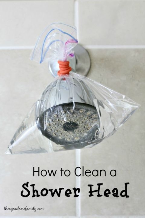 Clean Your Shower Head 