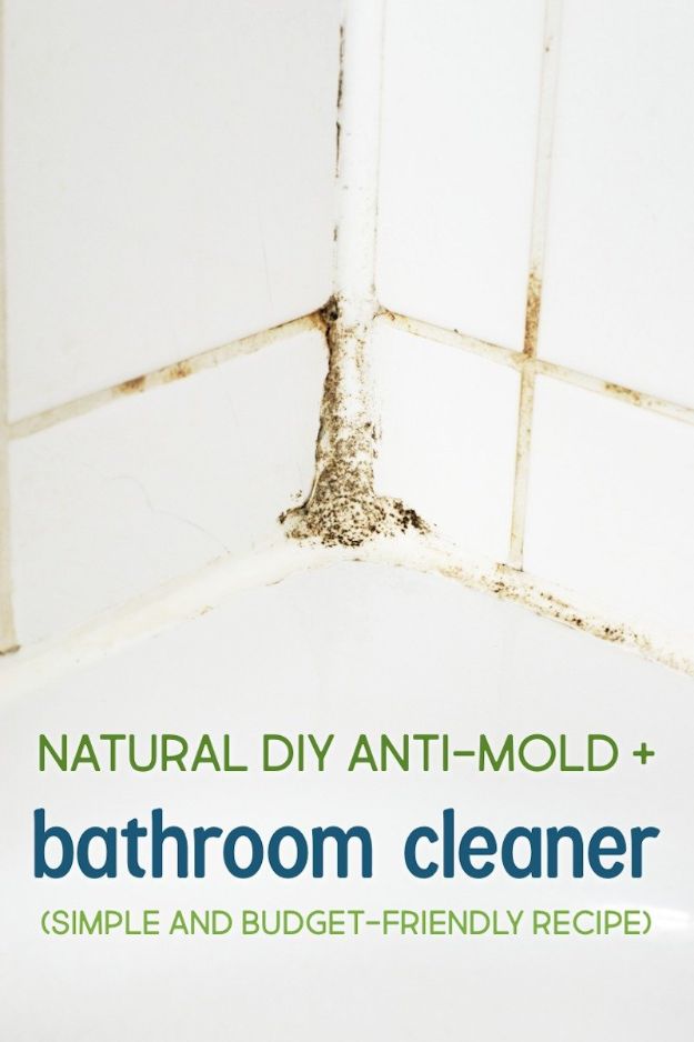 DIY Anti-Mold Spray And Bathroom Cleaner