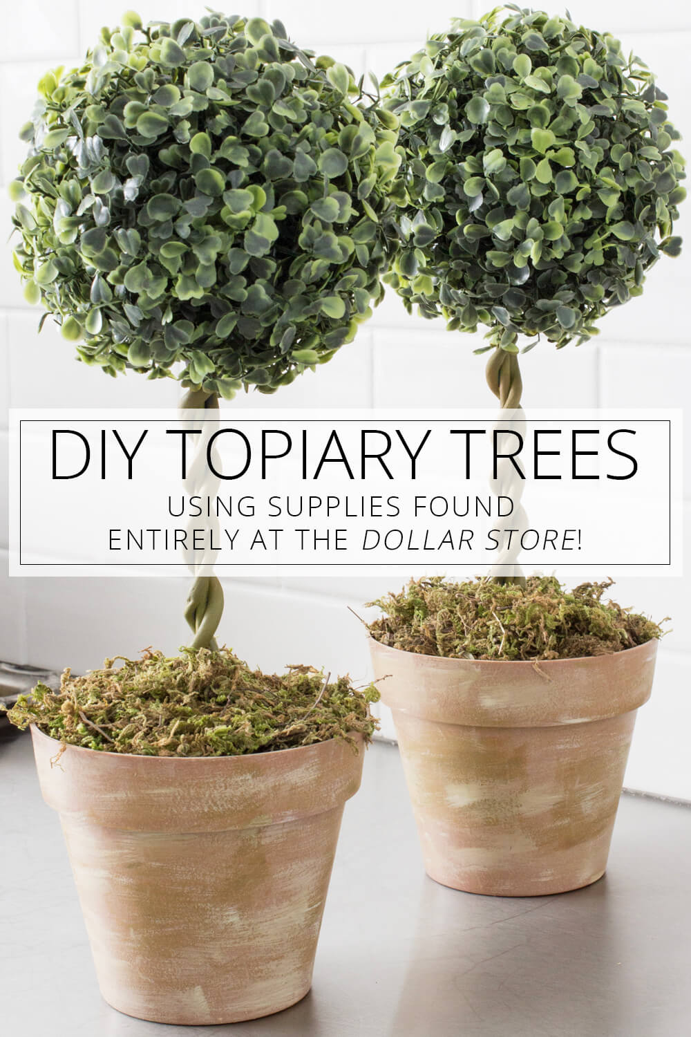 DIY Topiary Trees