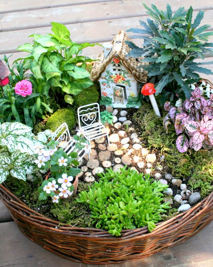 DIY Fairy Garden Basket Ideas