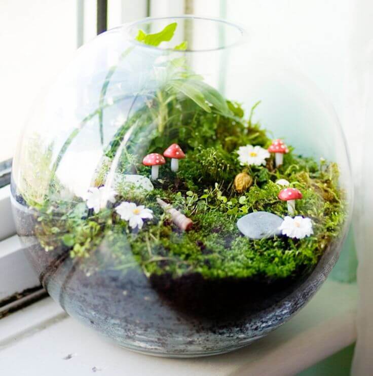 DIY Fairy Garden Ideas In A Terrarium
