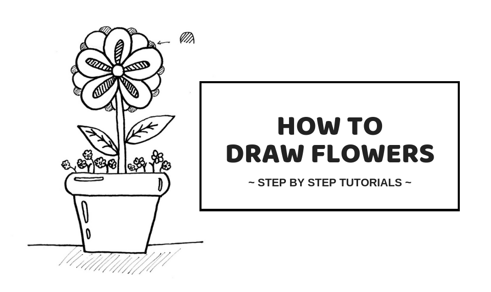 Pictures Of Flowers To Draw For Beginners