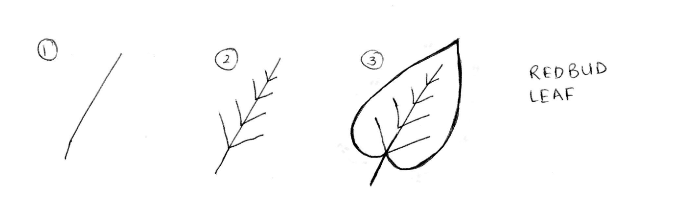 How To Draw Leaves 21 Best Tutorials For Beginners Craftsonfire