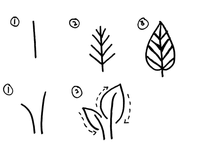 Drawing detailed line leaves