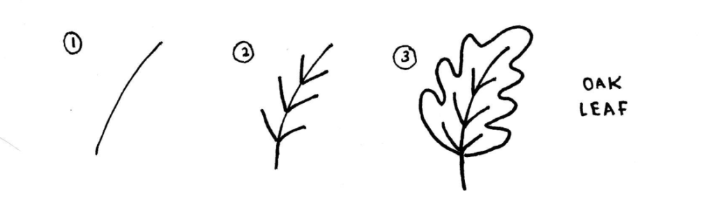 How To Draw Leaves 21 Best Tutorials For Beginners Craftsonfire Wzrost