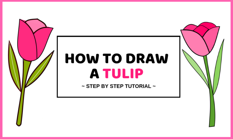 How To Draw A Tulip For Beginners