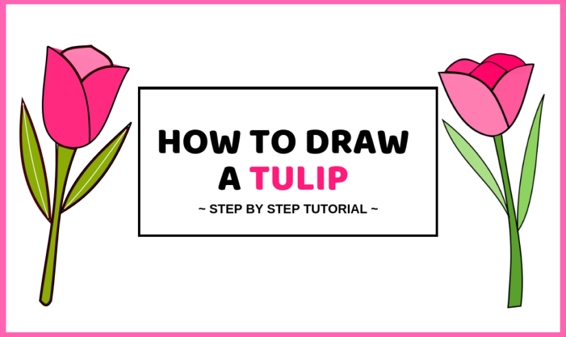 How To Draw A Tulip For Beginners - Craftsonfire