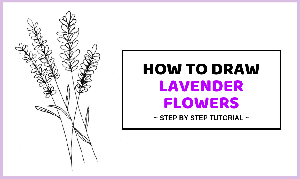 How To Draw Lavender Flowers - Easy Step By Step Drawing Tutorial