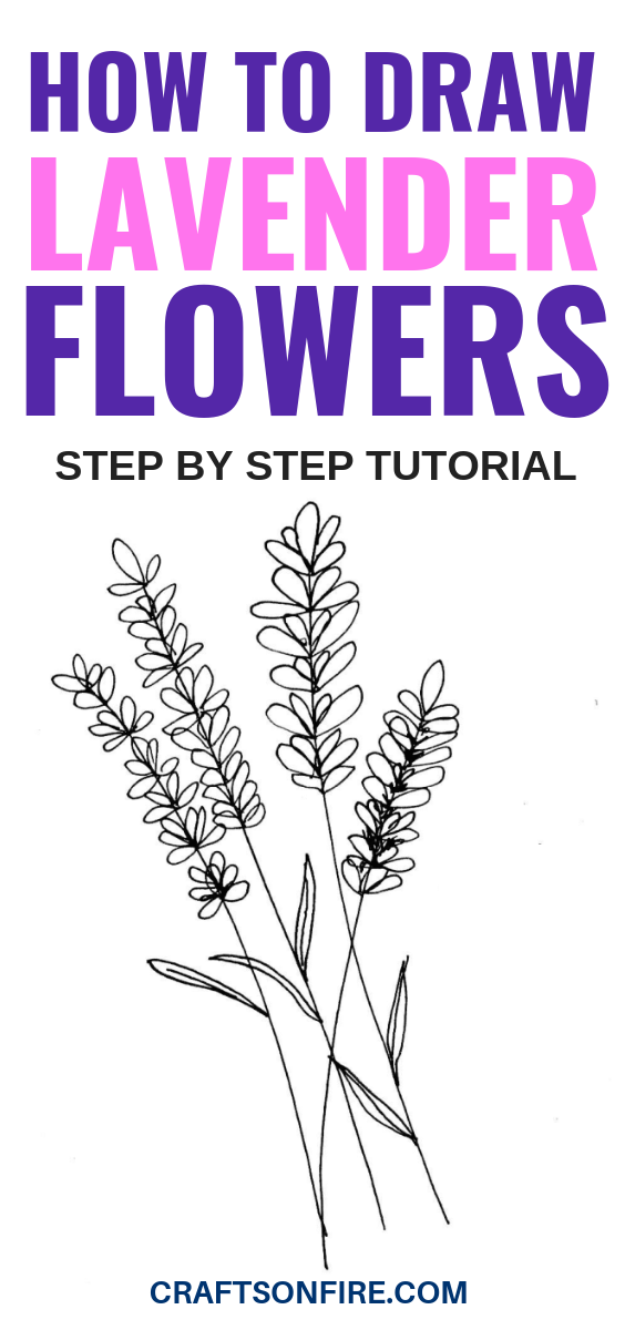 This drawing tutorial is the BEST! Learn how to draw lavender flowers in just a few easy steps!