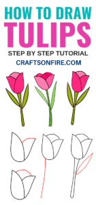 How to Draw a Tulip for Beginners - Best Drawing Tutorial - Craftsonfire