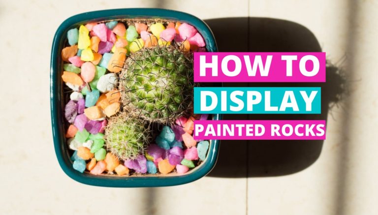 How To Display Painted Rocks (11 Best Ways You’ll Love)