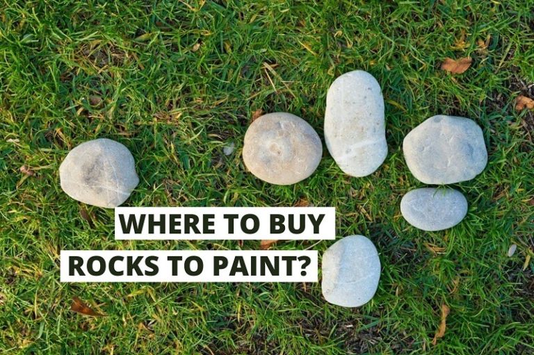 Where To Buy Rocks To Paint? (It’s Super Easy)