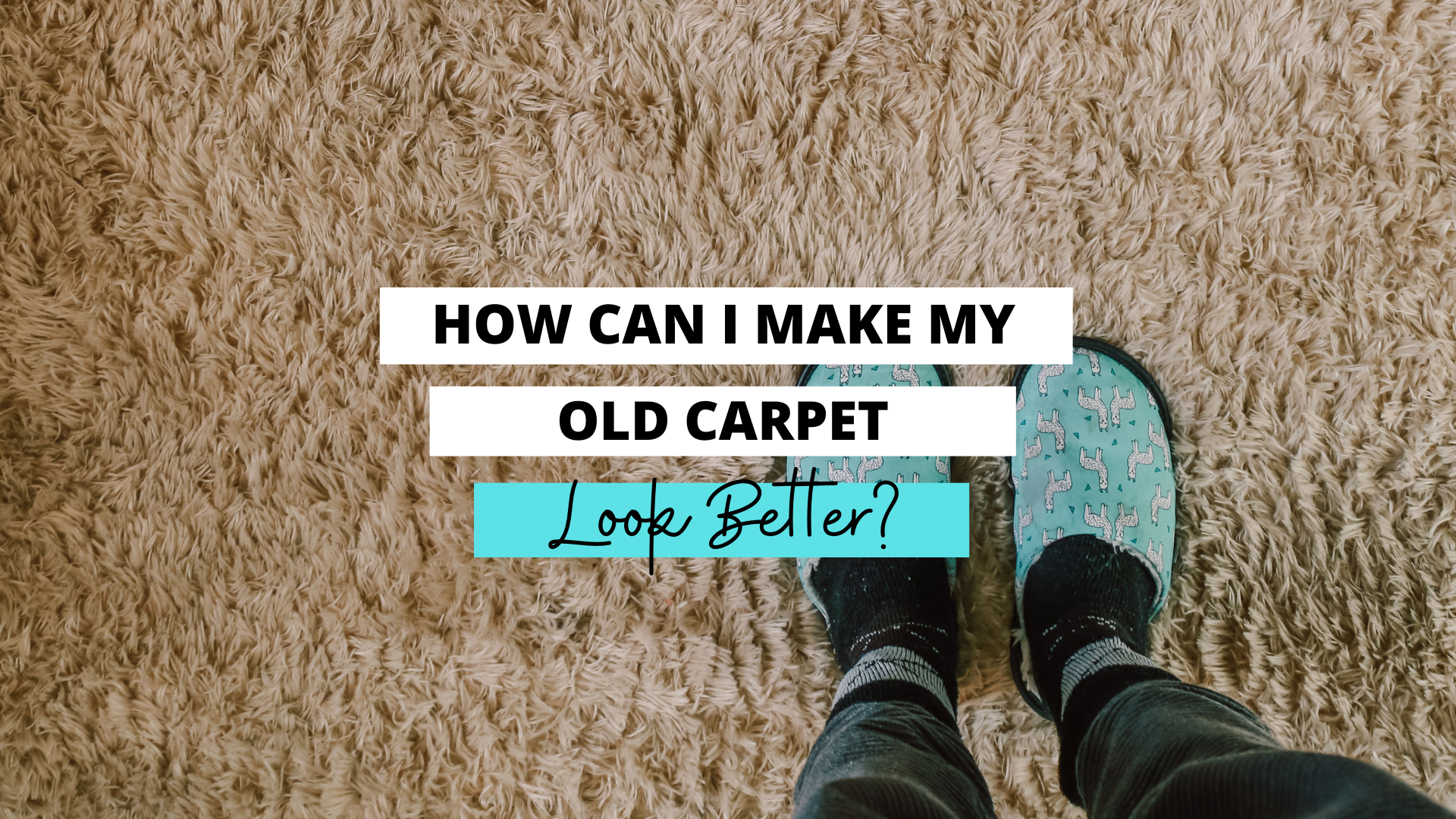 make your carpet look better, how to make your old carpet look better, tips for making your carpet look better