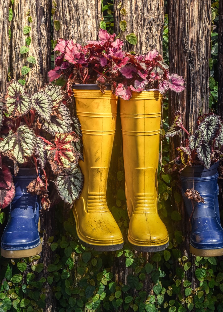 Rain boots Filled With Plants