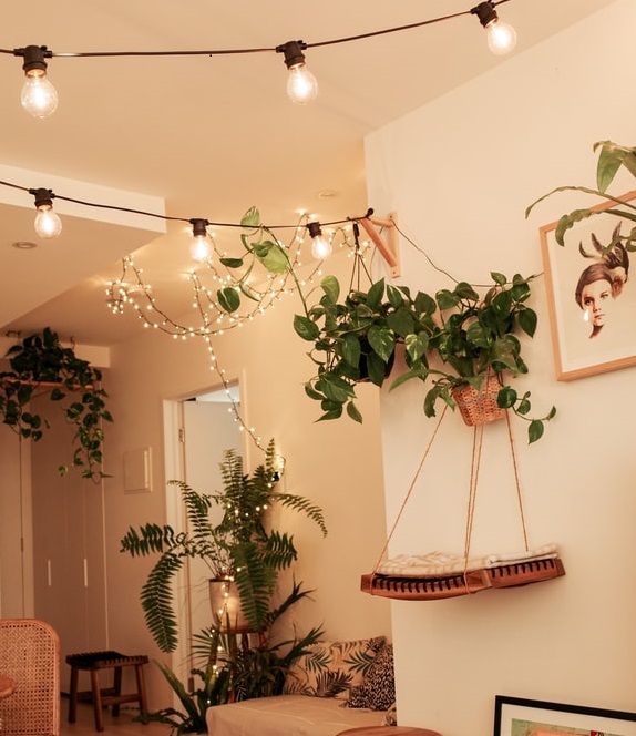 Hanging Plants On Wall