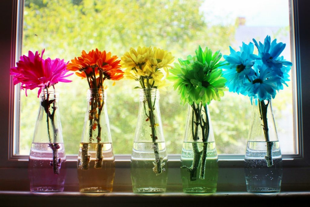 Glass bottles for kitchen windowsill decor