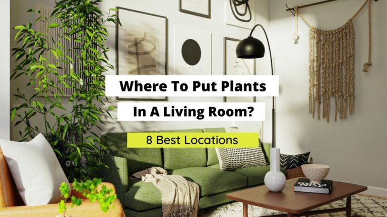 Where To Put Plants In A Living Room? (Best Arrangement Ideas)
