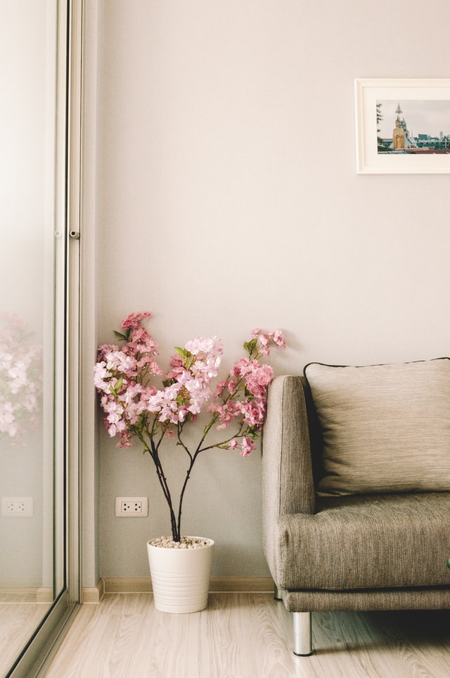 Flowers in the corner of living room