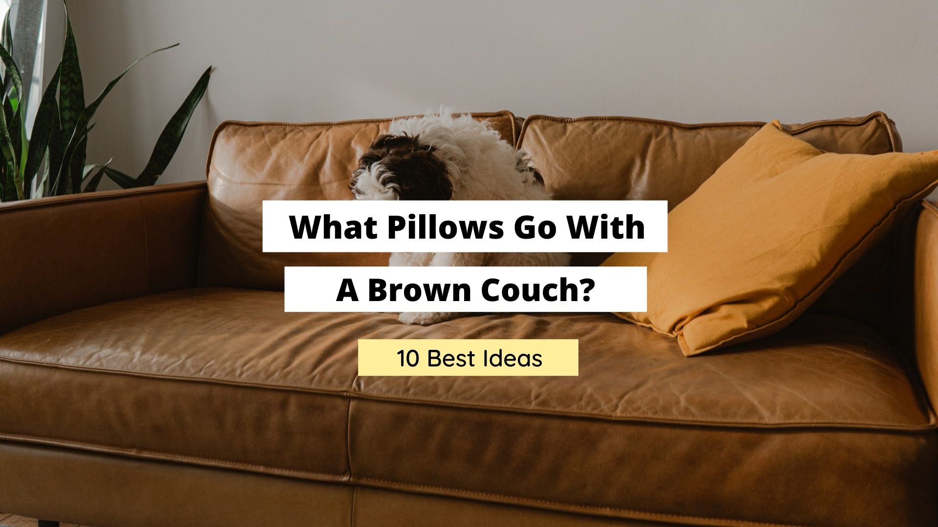 what pillows go with a brown couch