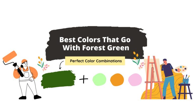 Colors That Go With Forest Green (Perfect Combinations)