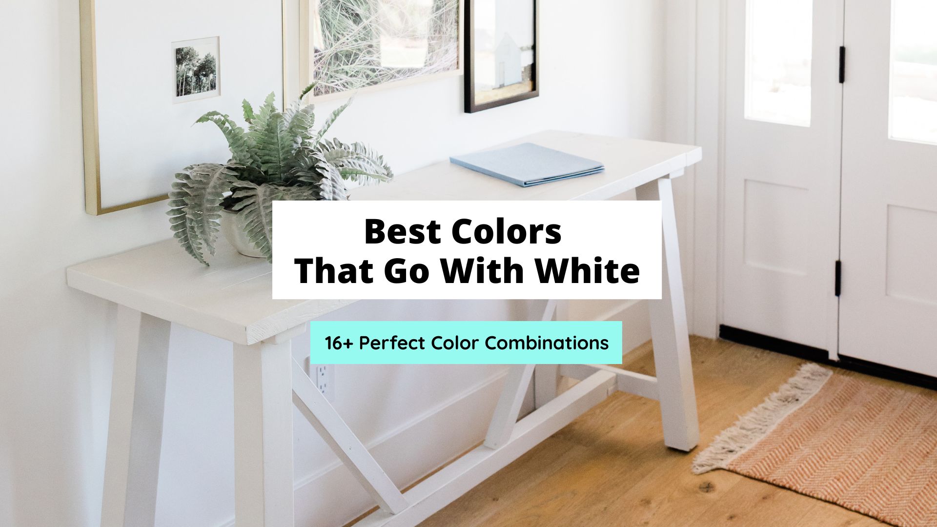 colors that go with white