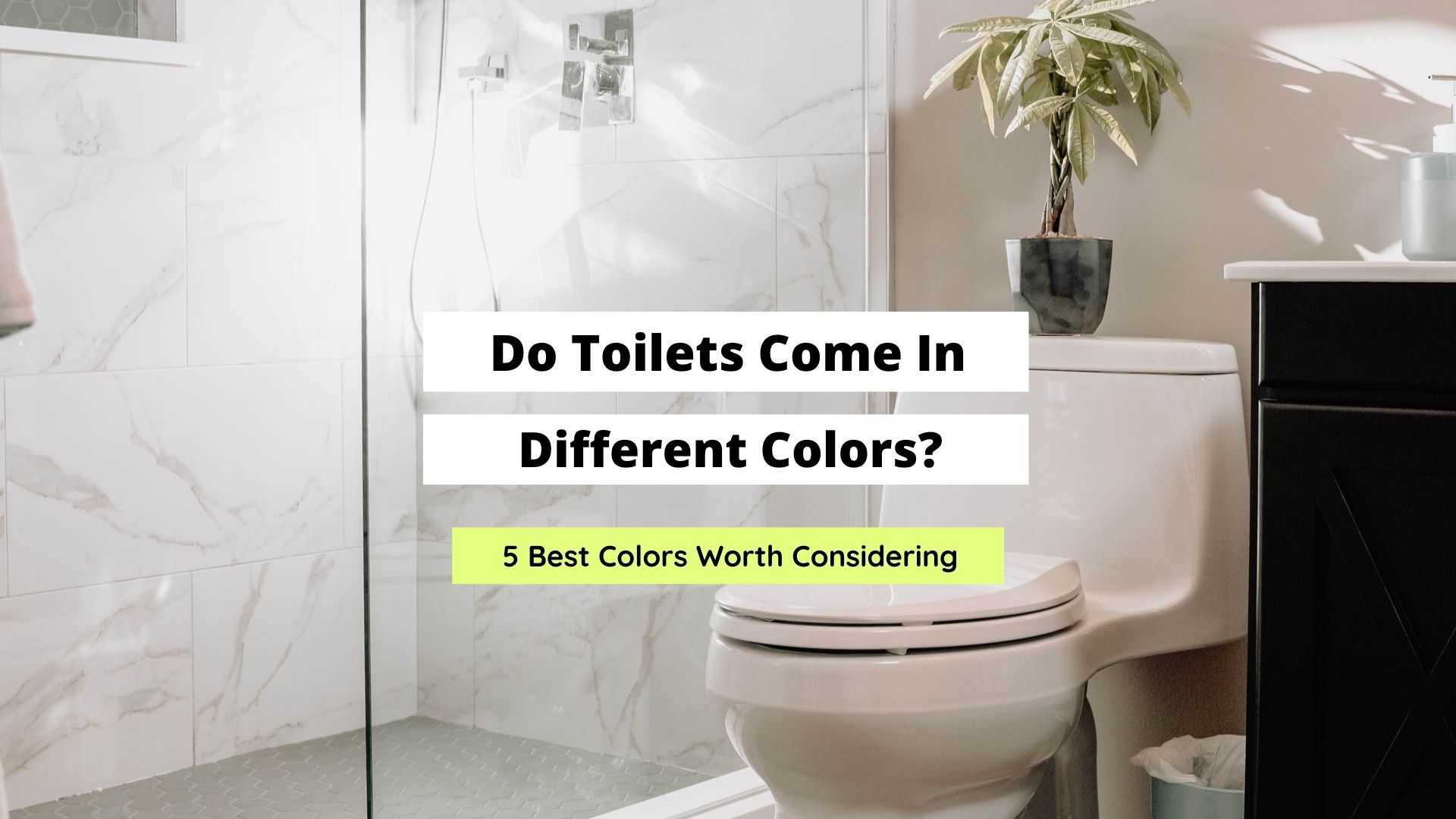 do toilets come in different colors