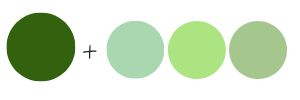 colors that go with forest green and light green