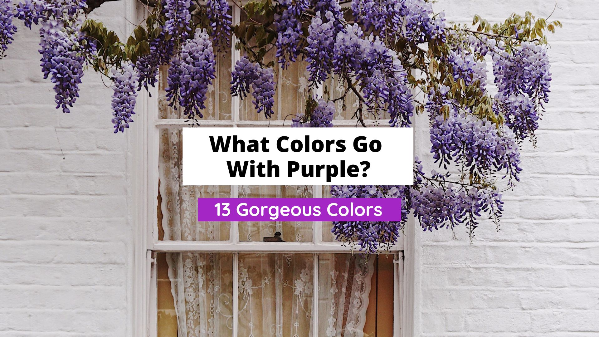 colors that go with purple