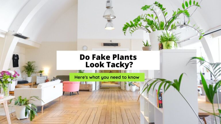 Do Fake Plants Look Tacky? (Everything To Know)