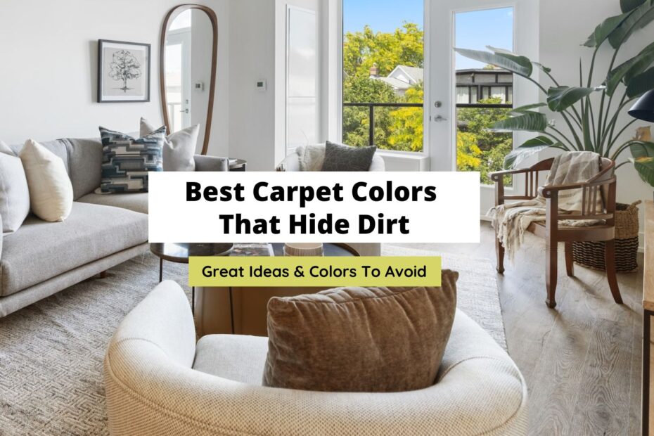 carpet-colors-that-hide-dirt-5-best-options-for-any-space